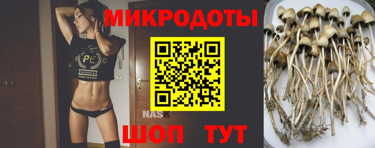Псилоцибиновые грибы Magic Shrooms Салават
